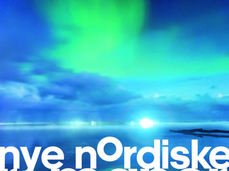 Nye nordiske romaner